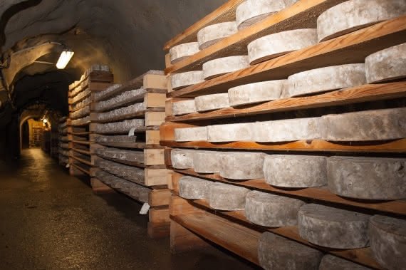 Fromages affinés sur des étagères en bois dans une cave