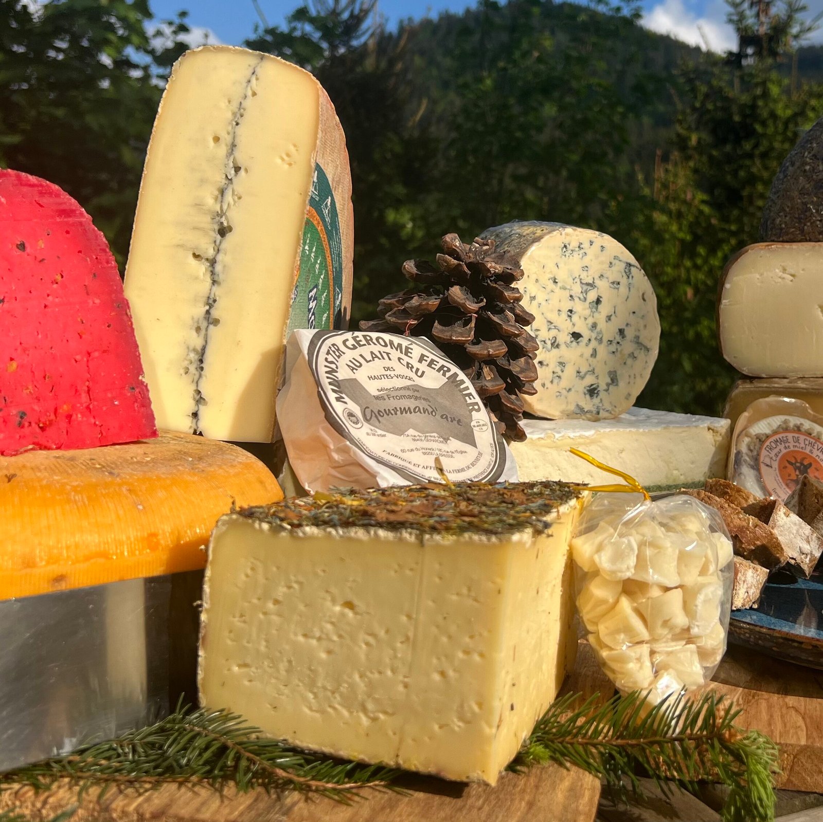 Assortiment varié de fromages sur une planche en bois