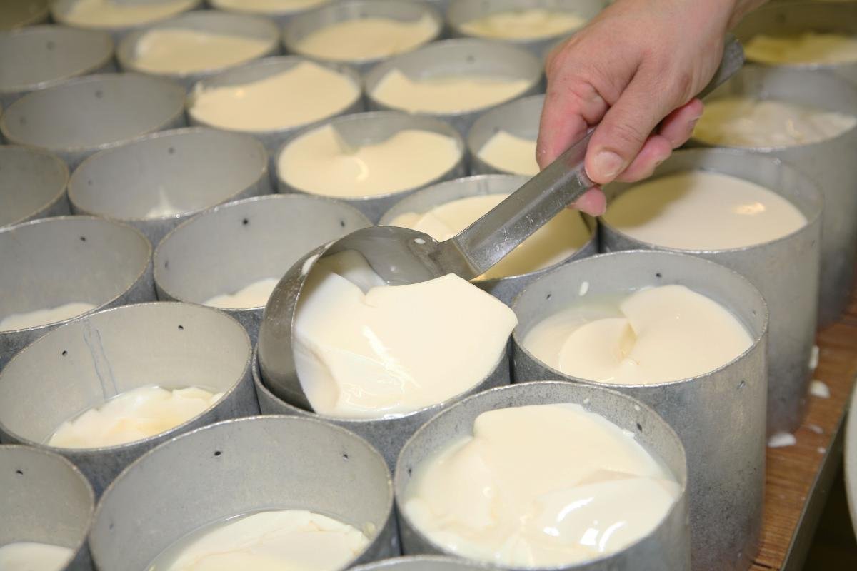 Moulage du caillé à la louche