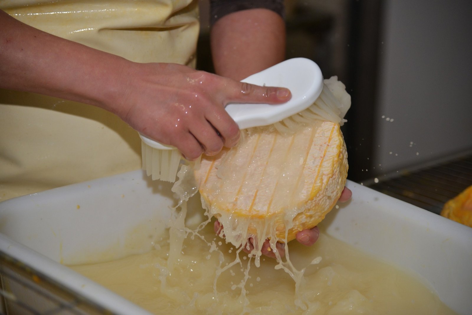 Salage manuel de meules de fromage