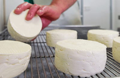 Fromages en cours d'égouttage sur des grilles