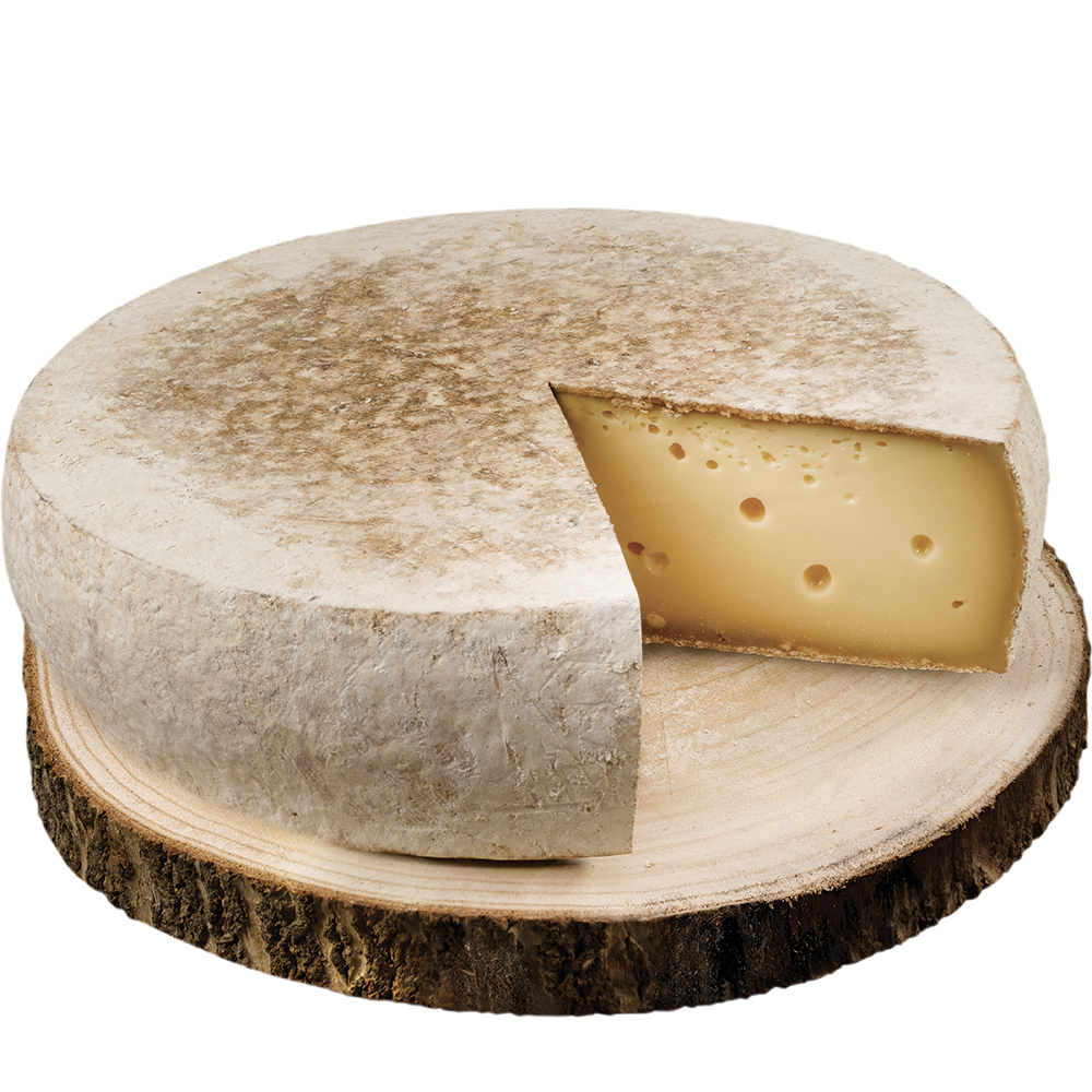 Tomme de Savoie ou fromage similaire