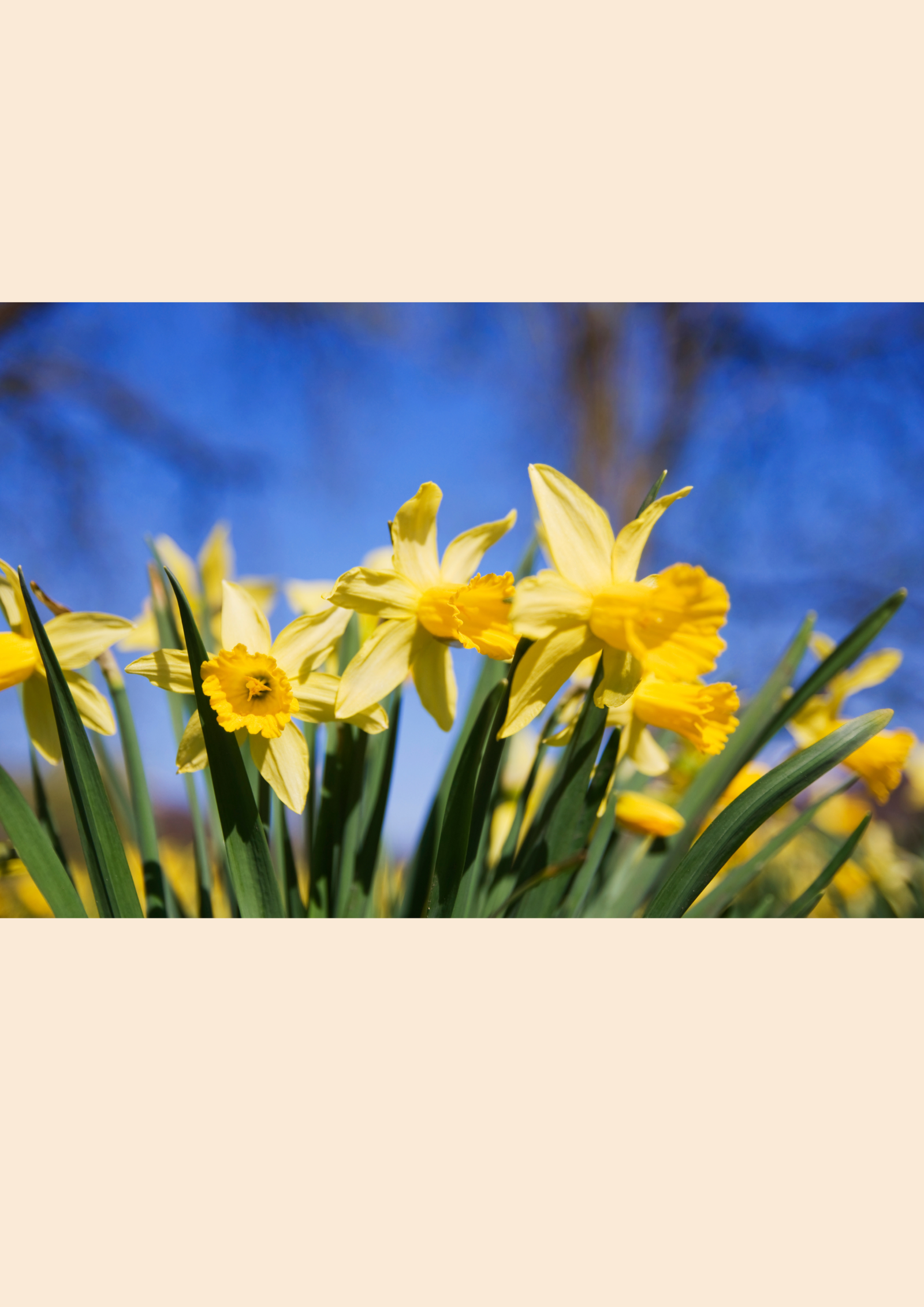 Click & Raclette Gourmand'Art